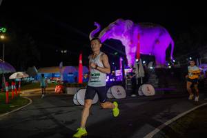 BIB: 
                            <button type="button" onclick="openModal(26552119)" class="btn btn-primary btn-sm float-right btn-popup" data-toggle="modal" data-target=".modal-high-quality">
                        <i class="fas fa-shopping-cart"></i> Add to Cart
                    </button>
                                            <button type="button" onclick="isThisMe(26552119, true)" class="btn btn-success btn-sm float-right btn-popup btn-isme hidden" data-toggle="tooltip" data-placement="bottom" title="นี่คือรูปของคุณใช่ไหม คลิกที่นี่เพื่อเอาเข้าอัลบั้ม">
                        <i class="fas fa-plus"></i> Add to album
                    </button>
                    <button type="button" onclick="isThisMe(26552119, false)" class="btn btn-warning btn-sm float-right btn-popup btn-isnotme hidden">
                        <i class="fas fa-ban"></i> Remove from album
                    </button>